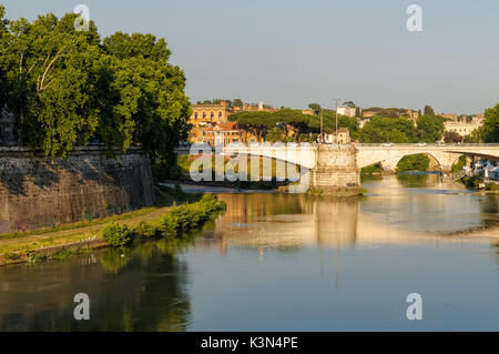 Den Tiber mit dem Ponte Garibaldi in Rom, Italien Stockfoto