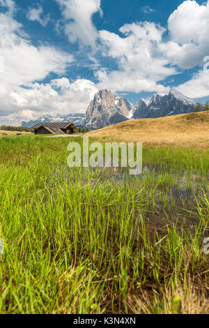 Alpe di Seis/Seiser Alm, Dolomiten, Südtirol, Italien. Sonnenuntergang auf der Alpe di Seis/Seiser Alm Stockfoto