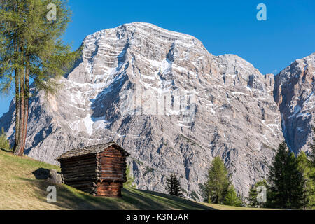 La Valle/ Wengen, Alta Badia, Provinz Bozen, Südtirol, Italien. In den Wiesen und Weiden des Pra de Rit Stockfoto