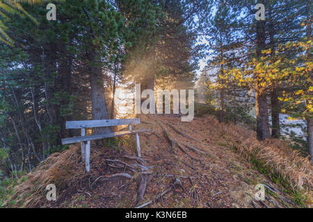 Europa, Südtirol, Bozen, Passo delle Erbe. Bank aus Holz im Wald mit Sonnenlicht Filterung durch die Bäume in den Morgen Stockfoto