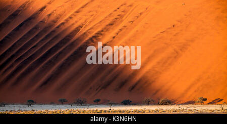 Sonnenaufgang von Düne 45 in Sossuvlei, Namib Naukluft National Park Stockfoto