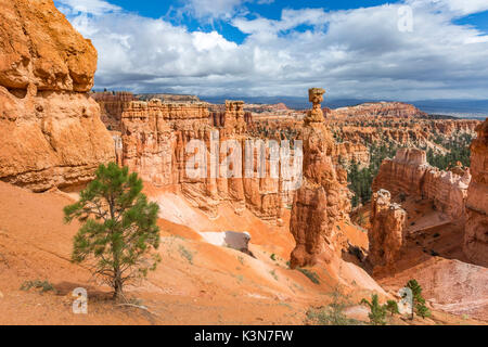 Hoodoos und Thor's Hammer von Navajo Trail Loop. Bryce Canyon National Park, Garfield County, Utah, USA. Stockfoto