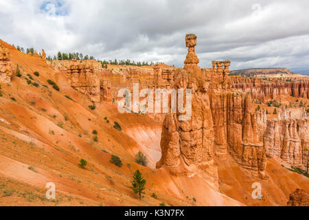 Hoodoos und Thor's Hammer von Navajo Trail Loop. Bryce Canyon National Park, Garfield County, Utah, USA. Stockfoto