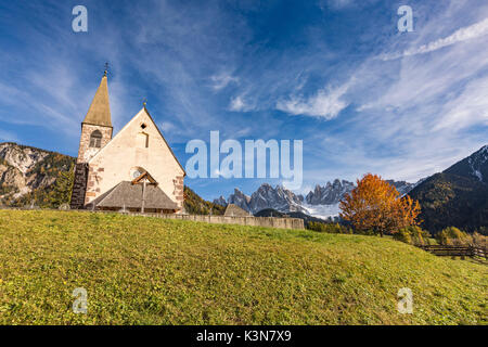 Herbstliche Kirschbaum und die Kirche des Dorfes. Santa Maddalena, Funes, Bozen, Trentino Alto Adige, Südtirol, Italien, Europa. Stockfoto