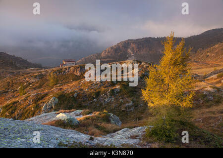 Calvi Hütte, Brembana Senke, in der Provinz Bergamo, Bergamasker Regional Park, Lombardei, Italien. Lärche und Calvi Zuflucht im Herbst Stockfoto