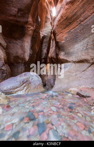 Wasser in Kanarra Creek Canyon fließt. Kanarraville, Bügeleisen County, Utah, USA. Stockfoto