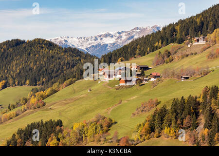 Herbstliche Landschaft. Santa Maddalena, Val di Funes, Bozen, Trentino Alto Adige, Südtirol, Italien, Europa. Stockfoto