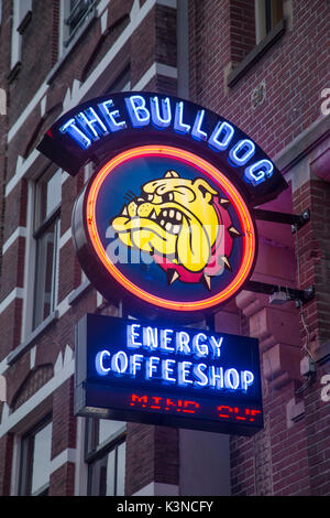 Bulldog Coffeeshop in Amsterdam - Niederlande - Europa Stockfoto