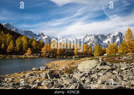 Herbst am See Arpy mit bunten Bäume rund um den See und den Mont Blanc Massiv in den Hintergrund (See, Arpy Morgex, Provinz Aosta, Aostatal, Italien, Europa) Stockfoto
