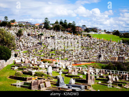 Waverley Friedhof an Bronte im Osten Sydneys Vororten blickt auf den Ozean darunter Stockfoto