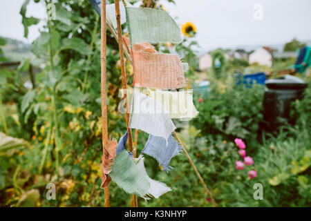 Natürliche bunting bei einer Zuteilung in Stroud, Gloucestershire Stockfoto