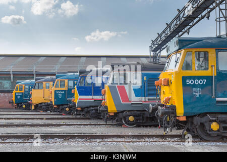 London, Vereinigtes Königreich. 2. September 2017. Class 50 Diesel Line up an der alten Eiche gemeinsamen Tag der Offenen Tür. Stockfoto