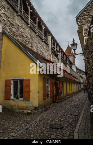 Die Alexander-Newski-Kathedrale, Tallinn, Estland. Stockfoto