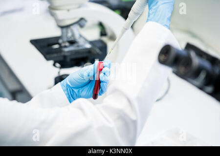 Arzt oder der Übungsassistent die Lösung in der blutprobe an der La Stockfoto