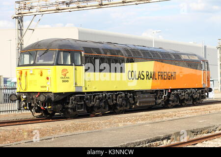 GWR König Klasse Lokomotive 6023 König Edward II mit GWR Halle Klasse Lok7903 Foremarke Halle und D 1015 Western Meister. Alte Eiche Gemeinsame 2. Sept. Stockfoto