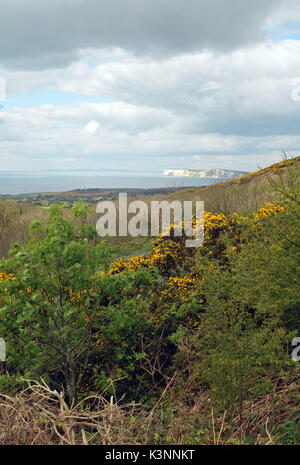 Die Aussicht von Bach und brighstone Nummernauswahl auf der Isle of Wight in Richtung Freshwater Bay und die Klippen und St. Catherine's Point im Süden Stockfoto