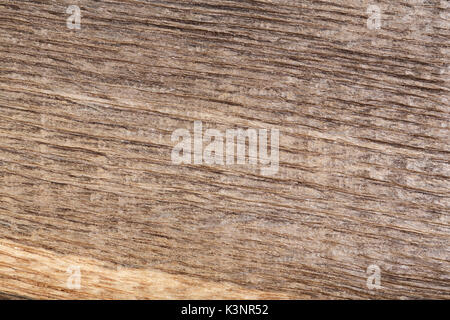 Alte zerkratzte Holz Mooreiche. Textur. Stockfoto