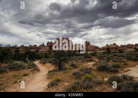 Die Needles District des Canyonlands National Park Stockfoto