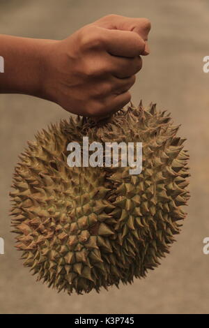 Shopping Durian König der Früchte Stockfoto