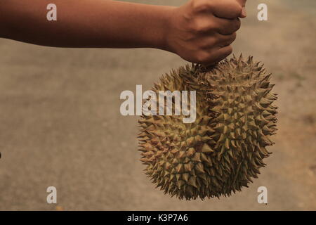 Shopping Durian König der Früchte Stockfoto