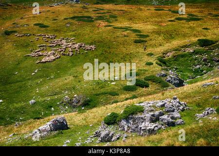 Herbst im sharr Gebirge/Malet e Sharrit zwischen Mazedonien und dem Kosovo Stockfoto