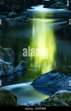 Die mystischen und magischen Fairy Glen oder Waliser Ffos Noddun in der verborgenen tiefe Schlucht des Flusses Conwy in Nord Wales in der Nähe von Betwys-y-Coed Stockfoto