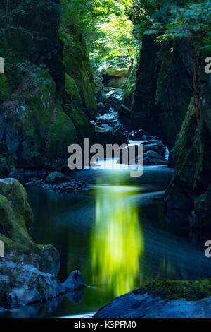 Die mystischen und magischen Fairy Glen oder Waliser Ffos Noddun in der verborgenen tiefe Schlucht des Flusses Conwy in Nord Wales in der Nähe von Betwys-y-Coed Stockfoto