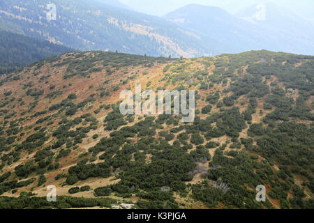 Sommer in den Bergen zwischen Montenegro und Kosovo um hajla Berg Stockfoto