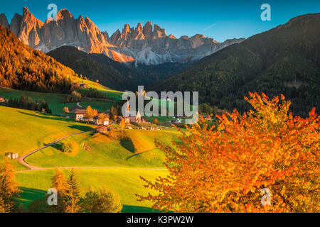 Funes Tal, Trentino Alto Adige, Italien. Santa Maddalena Dorf, das von Hügeln umgeben, mit der geisler auf dem Hintergrund und eine bunte Bäume im Vordergrund. Stockfoto