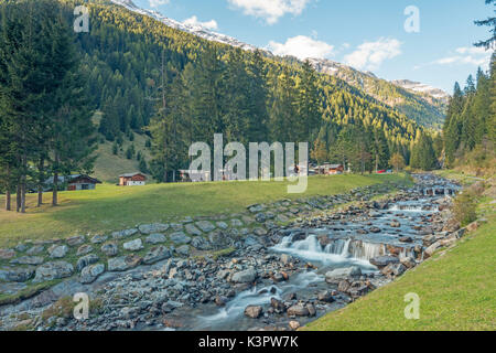 Rabbi Tal und Wildbach Rabbies Stockfoto