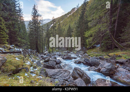 Wildbach Rabbies, Rabbi tal Europa, Italien, Trentino Alto Adige, Trento, Rabbi Tal, Stilfserjoch Naturpark Stockfoto