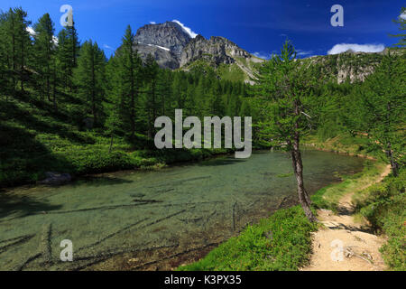 Kleiner See Lago delle Streghe in Alpe Veglia, mit Monte Leone im Hintergrund, Varzo, Provinz Verbano Cusio Ossola, Piemont, Italien Stockfoto