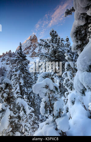 Die hohen Gipfel des Sass De Peiterkofel Frames die verschneiten Wald in der Dämmerung Passo Delle Erbe Villnösser Tal Südtirol Italien Europa Stockfoto