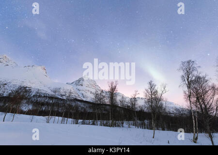 Die Nordlichter und Sternenhimmel die verschneite Landschaft und Wälder Nordkjosbotn Lyngen Alpen Tromsø Norwegen Europa leuchtet Stockfoto