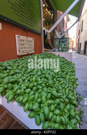 Frisches Basilikum Bestandteil der typischen pesto alla genovese Soße in den Geschäften von Portovenere La Spezia Provinz Ligurien Italien Europa Stockfoto