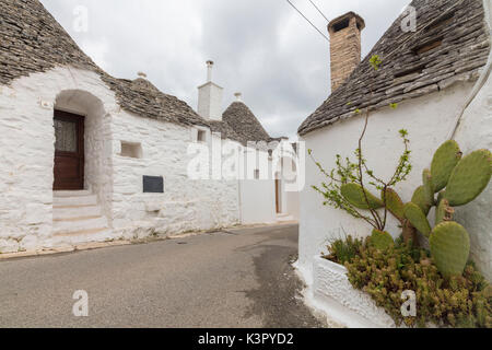 Die typischen Hütten genannt Trulli mit Trockenmauern mit konischem Dach Alberobello Provinz Bari Apulien Italien Europa gebaut Stockfoto