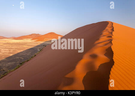 Düne 45 komponierte die Sterne Düne von 5 Millionen Jahre alten Sand Sossusvlei Namib Wüste Naukluft National Park in Namibia Afrika Stockfoto