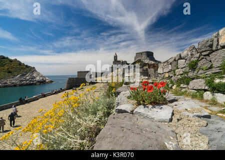 Blumen und blaues Meer umrahmen das alte Schloss und San Pietro Kirche Portovenere Provinz von La Spezia Ligurien Italien Europa Stockfoto