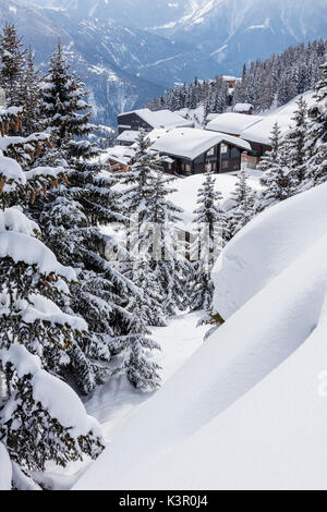 Bäume bedeckt mit Schnee Rahmen den alpinen Hütten Bettmeralp Bezirk Raron Kanton Wallis Schweiz Europa