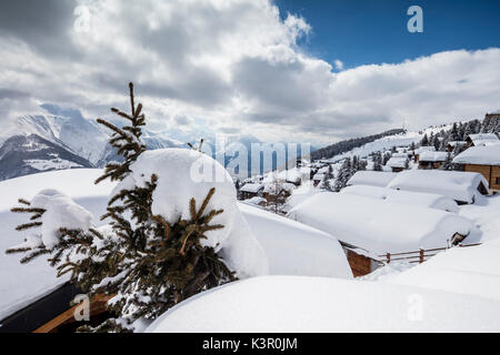 Baum bedeckt mit Schnee Frames alpinen Hütten Bettmeralp Bezirk Raron Kanton Wallis Schweiz Europa Stockfoto