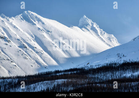 Blauer Himmel und die schneebedeckten Berge, um Holz Lyngen Alpen Tromsø Lappland Norwegen Europa Stockfoto