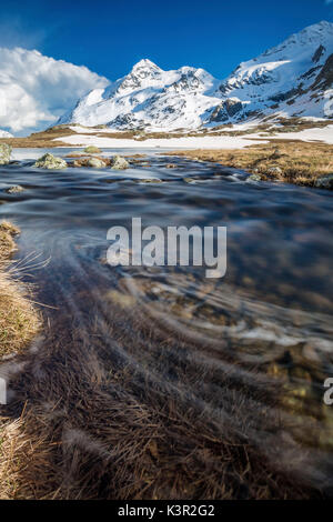 Lej Pitschen umgeben von schneebedeckten Bergen Berninapass Kanton Graubünden Engadin Schweiz Europa Stockfoto