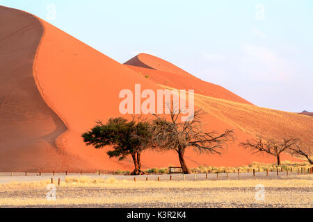 Düne 45 komponierte die Sterne Düne von 5 Millionen Jahre alten Sand Sossusvlei Namib Wüste Naukluft National Park in Namibia Afrika Stockfoto