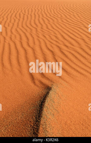 Sanddünen geprägt durch Wind Deadvlei Sossusvlei Wüste Namib Naukluft Nationalpark Namibia Afrika Stockfoto