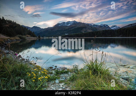 Rosa Himmel im Morgengrauen beleuchtet die Gipfeln spiegelt sich im See Sils Engadin Kanton Graubünden Schweiz Europas Stockfoto