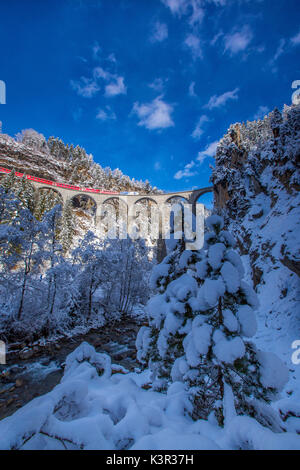 Bernina Express führt durch die verschneiten Wälder Filisur Kanton Graubünden-Schweiz-Europa Stockfoto