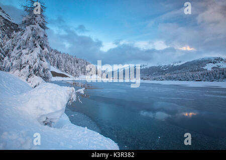 Die Ufer des zugefrorenen See Sils Engadin Kanton Graubünden Schweiz Europa Stockfoto