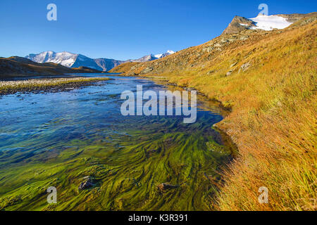 Sunrise und Reflexionen über Levanne Berge. Nationalpark Gran Paradiso. Alpi Graie Stockfoto