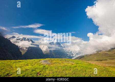 Blick auf Mount Eiger vom ersten Grindelwald Berner Oberland Kanton Bern-Schweiz-Europa Stockfoto