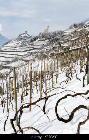 Strahlen der Sonne leuchten die Weinberge von Sassella mit Castel Grumello und die Kirche von Montagna im Hintergrund. Montagna, Valtellina, Lombardei, Italien Europa Stockfoto